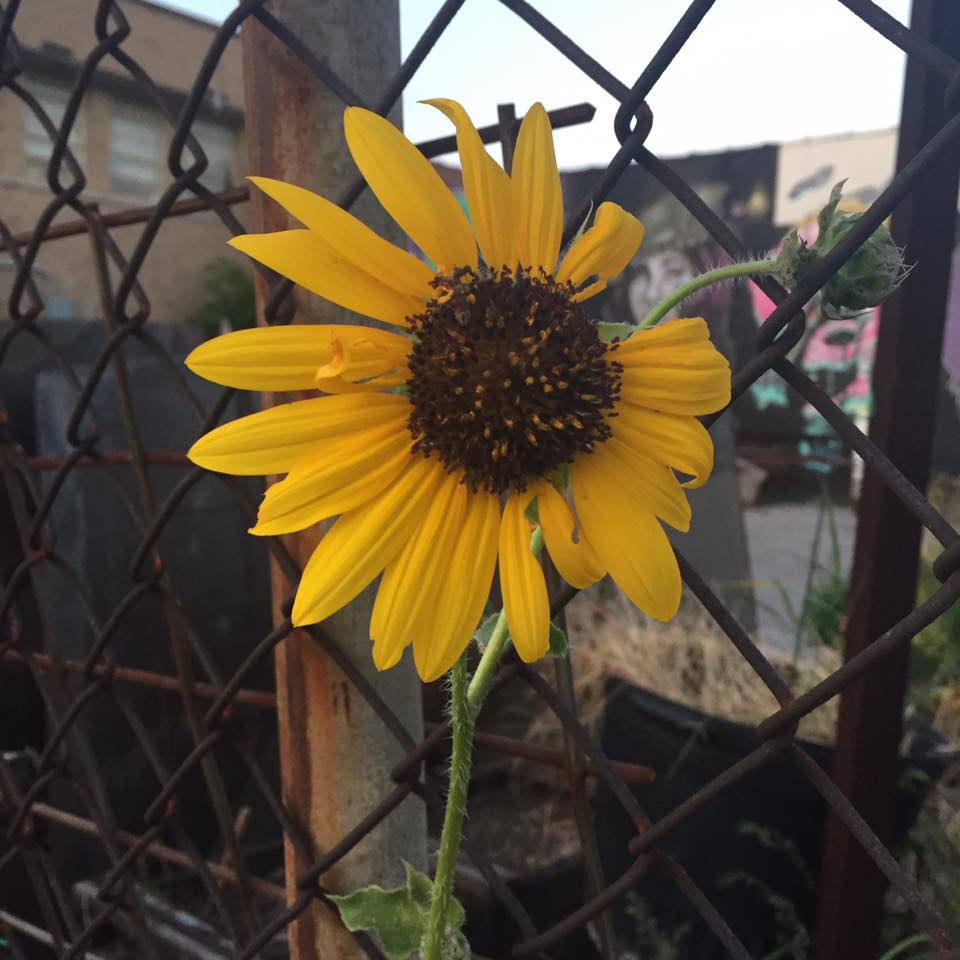 Using Positive Self-Talk To Calm Your Mind and Follow Your&nbsp;Dreams